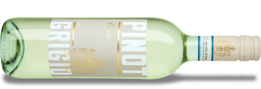 Cinolo Pinot Grigio 2019 online kaufen